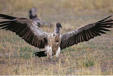 Epic老大蒂姆·斯威尼再谈元宇宙：代表游戏的未来