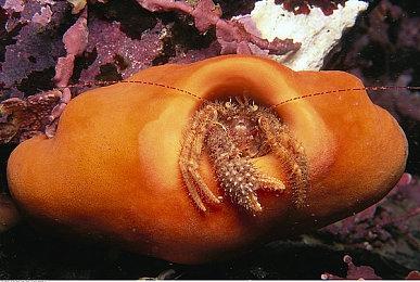 《太阳灰国》10月26日推出 登陆PS5＆PS4＆Epic